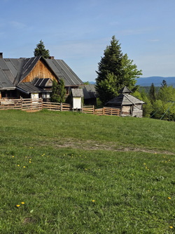 buczynka 01-06-2025